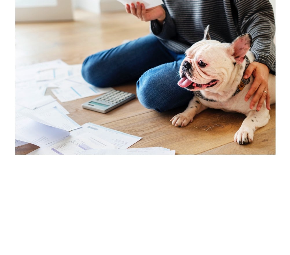 How To Claim Your Pet On Your Taxes