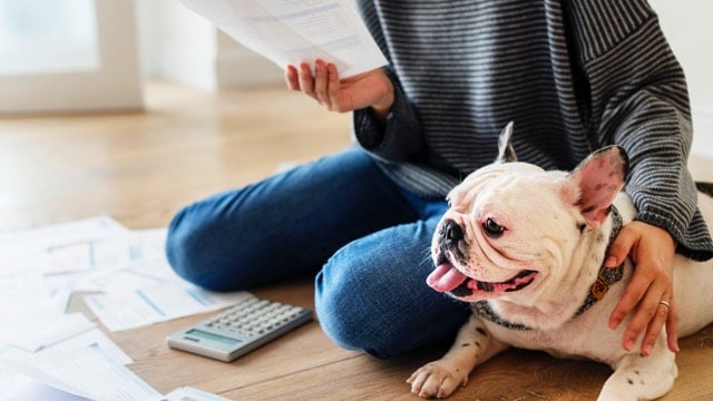 can i claim my emotional support dog on my taxes